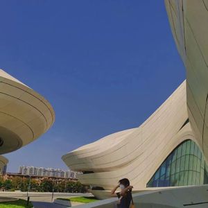 国产在线偷录视频
